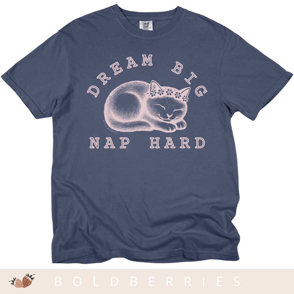 Dream Big Nap Hard - Adult T-Shirt