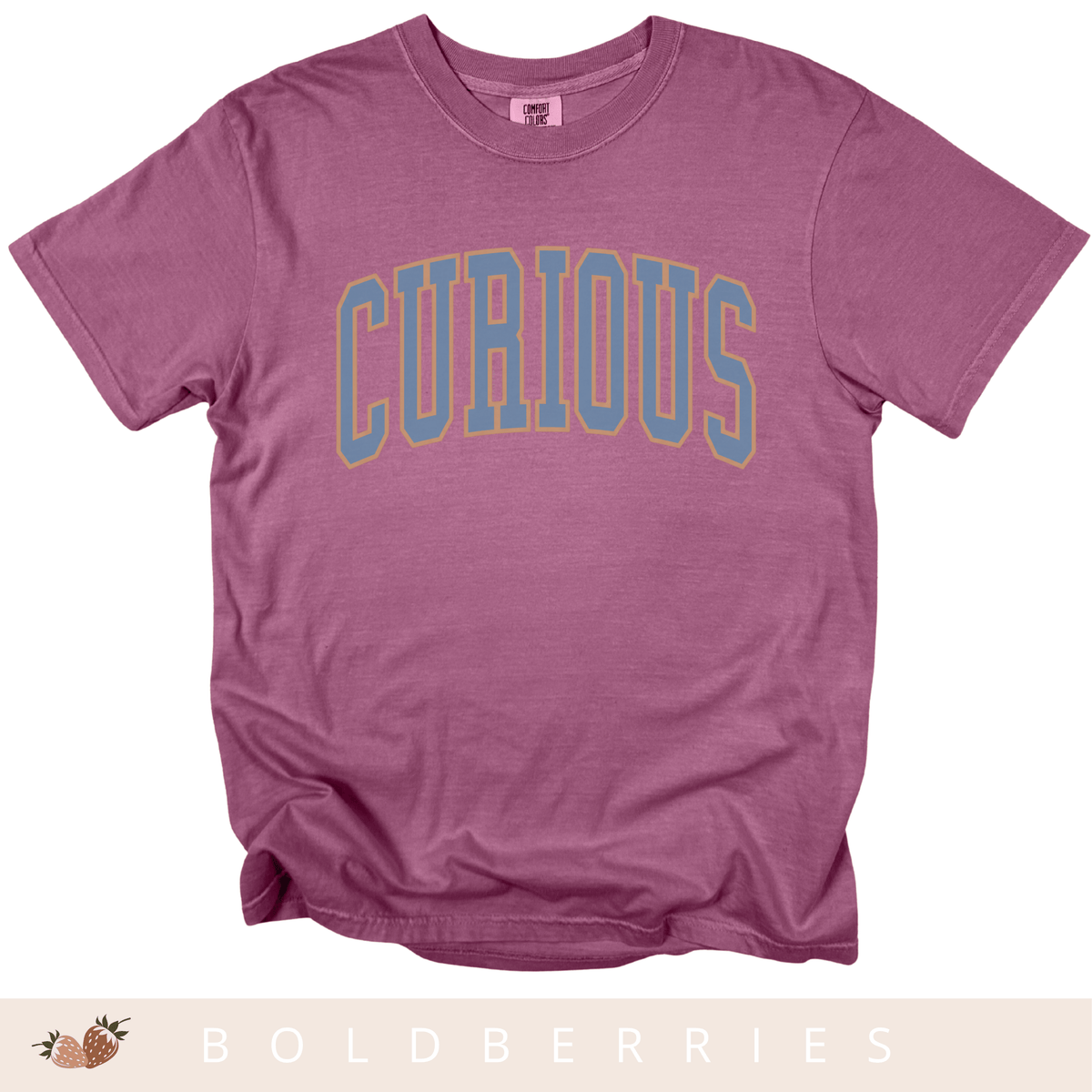 Varsity Curious - Adult T-Shirt